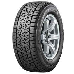 Bridgestone Blizzak DM-V2